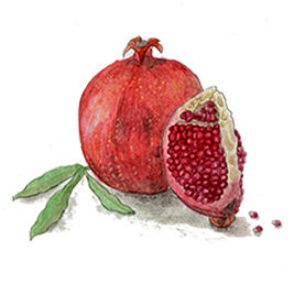 レムリア人の庭